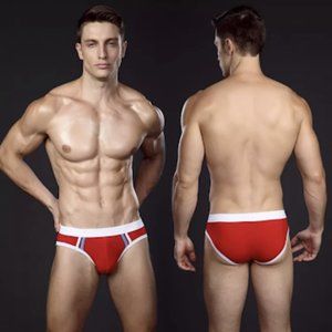 Low Waist Sexy Men's Underwear Fashion Briefs